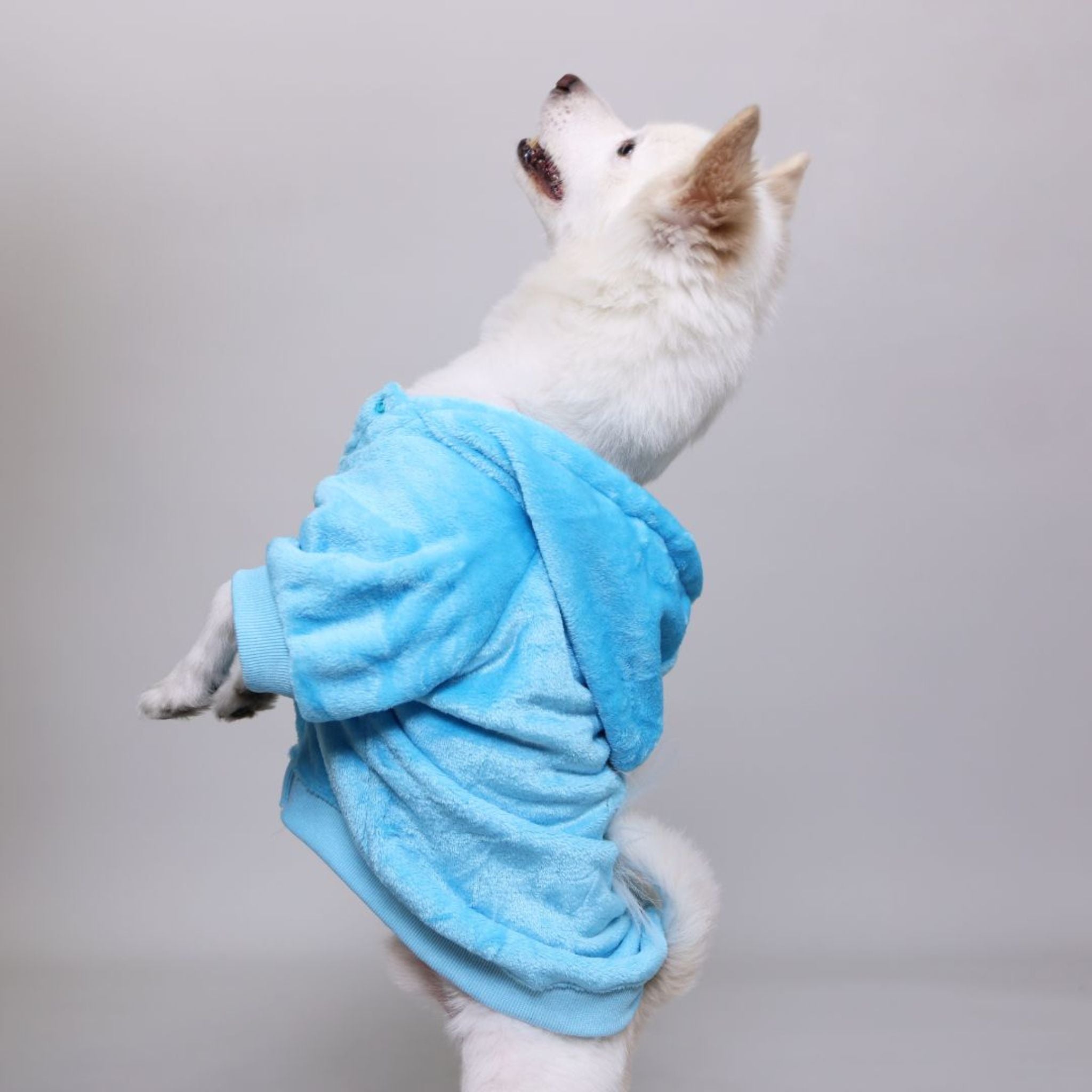 Cozy Pets - CozyOnCozy