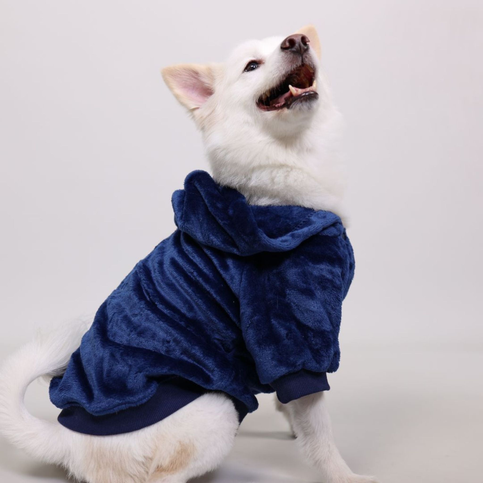 Cozy Pets - CozyOnCozy
