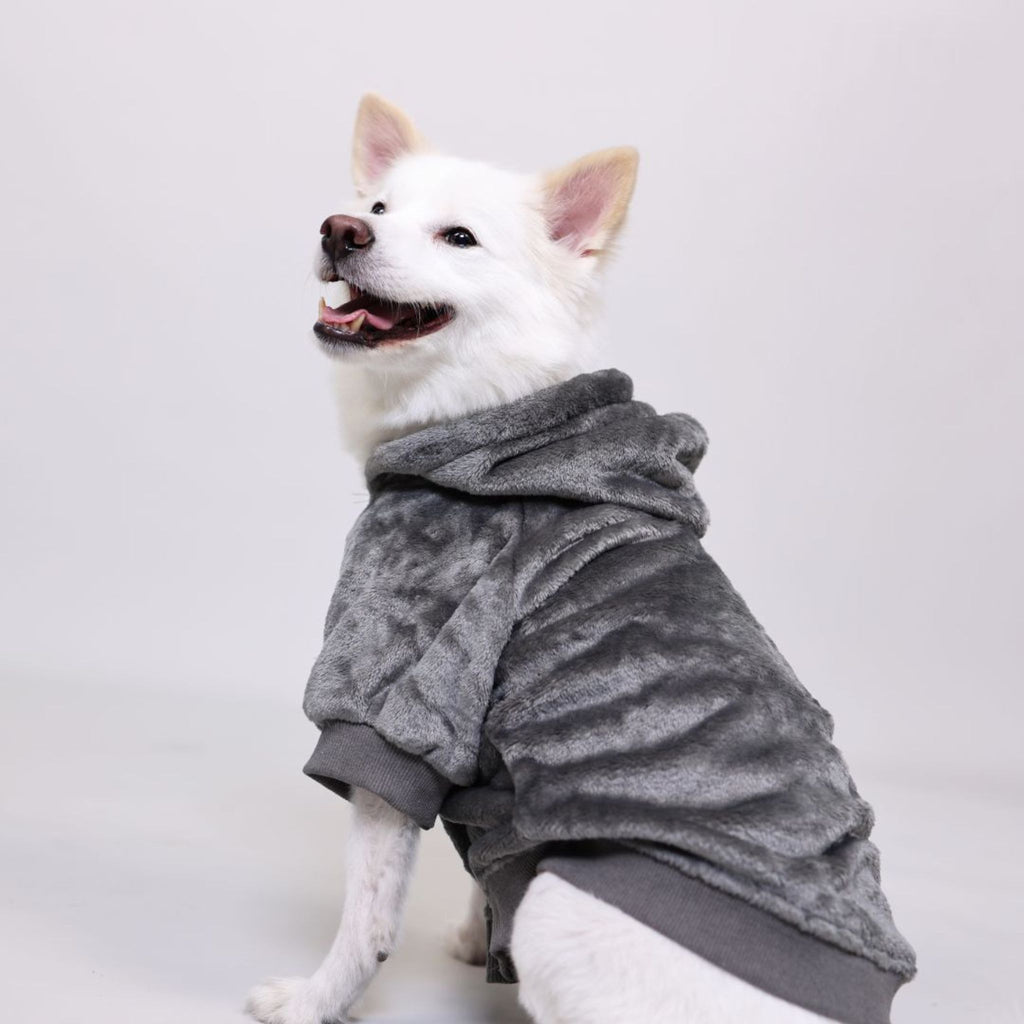 Cozy Pets - CozyOnCozy