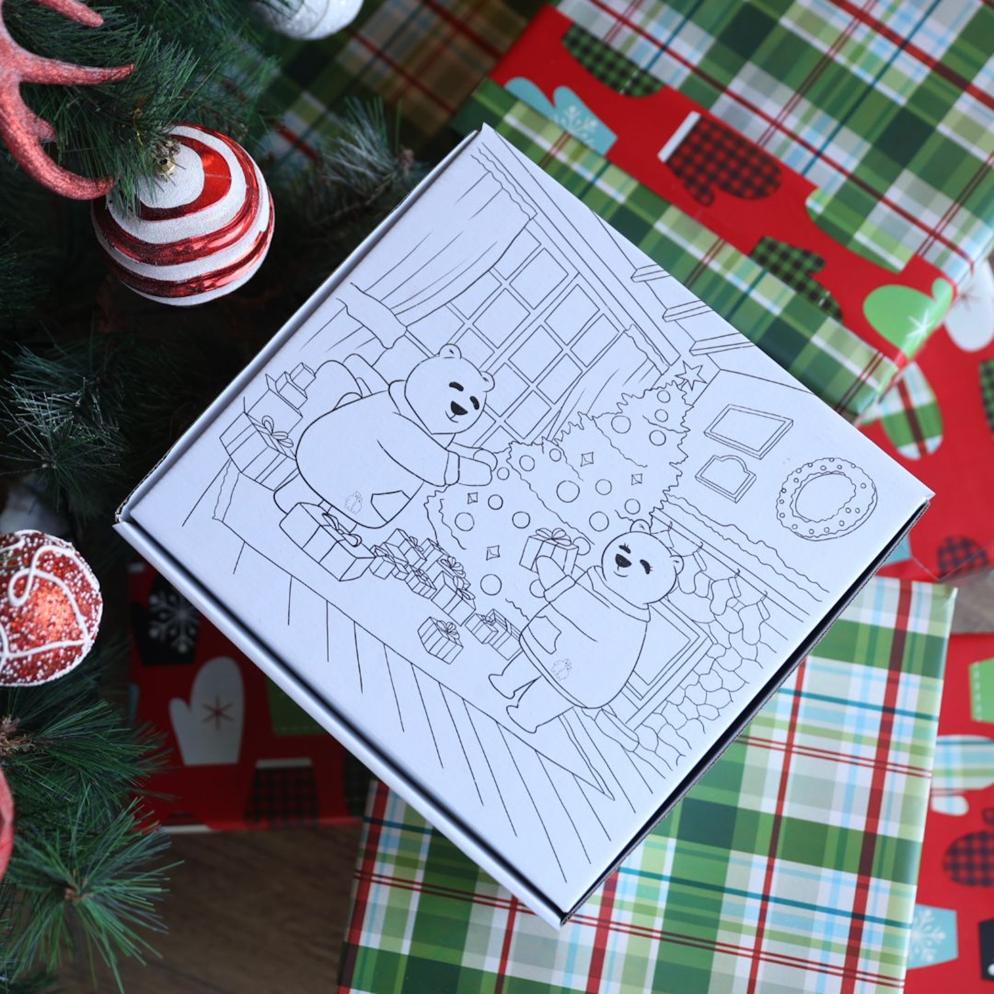 Limited Edition Christmas Box + Coloring Kit